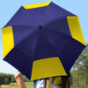 Person holding The Windmill Windflow Vented Golf Umbrella